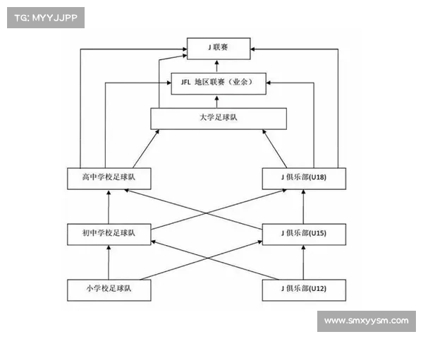 中国足球崛起路径解析：从青训体系建设到职业联赛改革的全方位发展策略