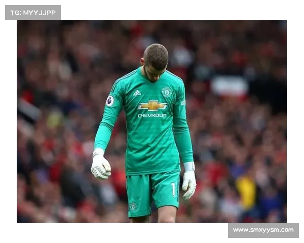 德赫亚在社交媒体与球迷热情互动分享感人瞬间