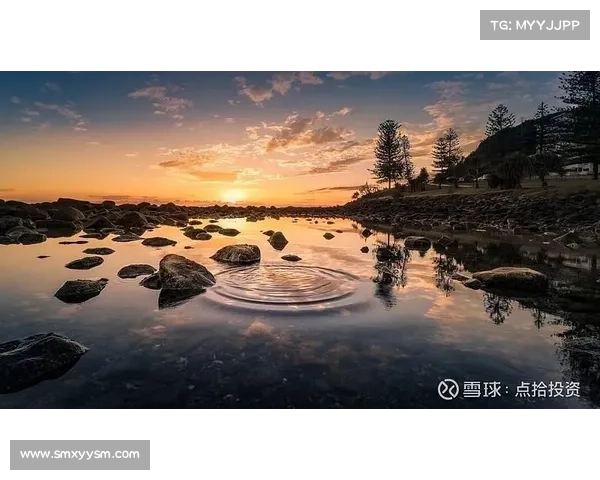 投资欧洲杯的关键问题及风险分析与策略建议 投资欧洲杯的关键问题及风险分析与策略建议