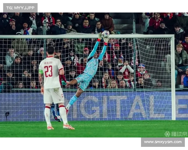 捷克门将的荣耀与坚持：从困境中崛起的传奇之路